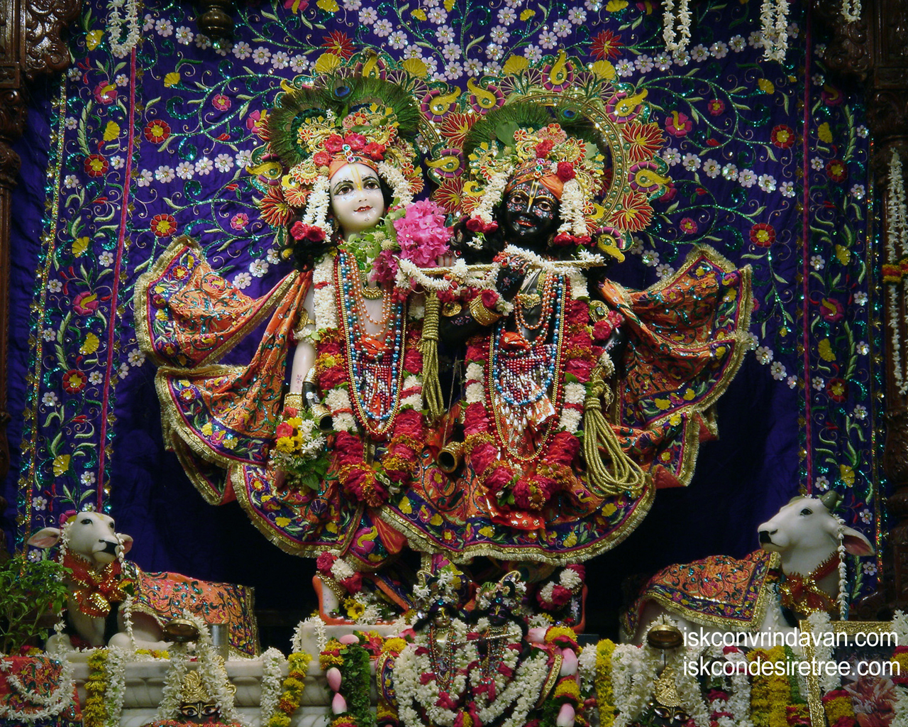 Sri Sri Krishna Balaram Wallpaper (016) Size 1280x1024 Download