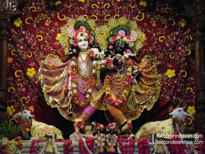 Sri Sri Krishna Balalram Wallpaper (018)