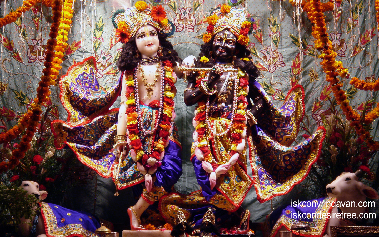 Sri Sri Krishna Balaram Wallpaper (028) Size 1440x900 Download