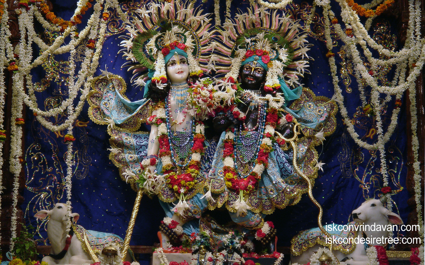 Sri Sri Krishna Balaram Wallpaper (033) Size 1440x900 Download