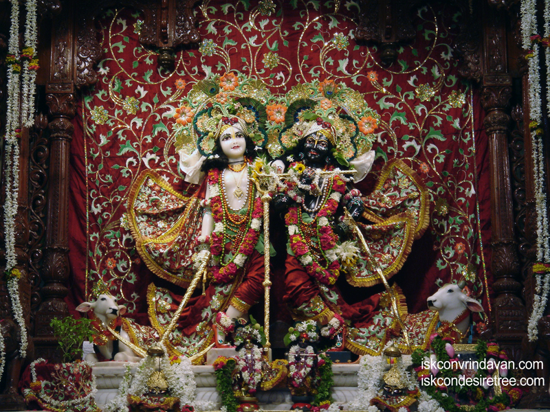 Sri Sri Krishna Balaram Wallpaper (037) Size 800x600 Download