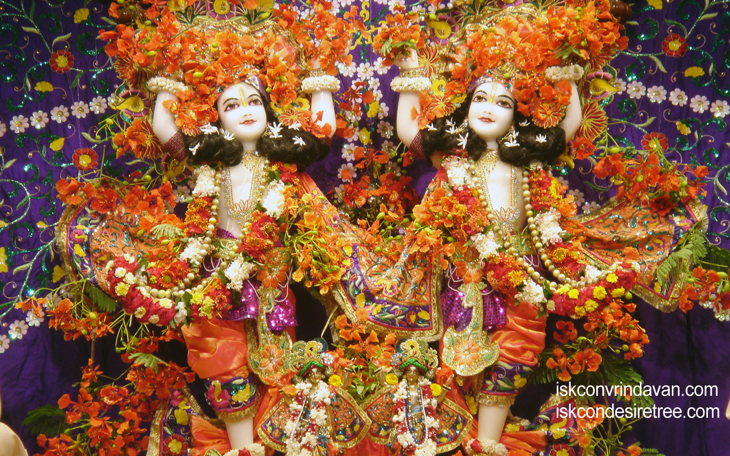 Sri Sri Gaura Nitai Wallpaper (038) Size 1440x900 Download