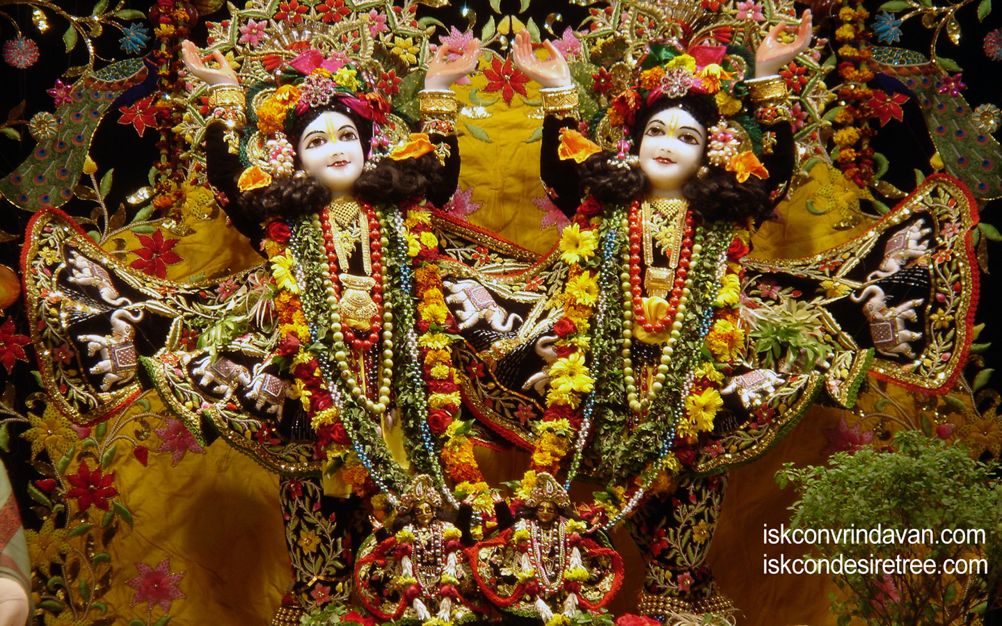 Sri Sri Gaura Nitai Wallpaper (050) Size 1440x900 Download