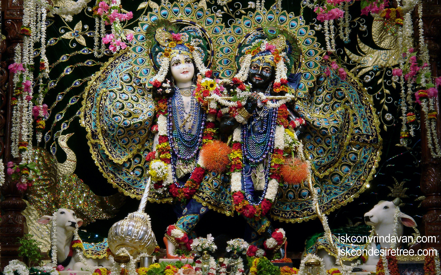 Sri Sri Krishna Balaram Wallpaper (050) Size 1440x900 Download