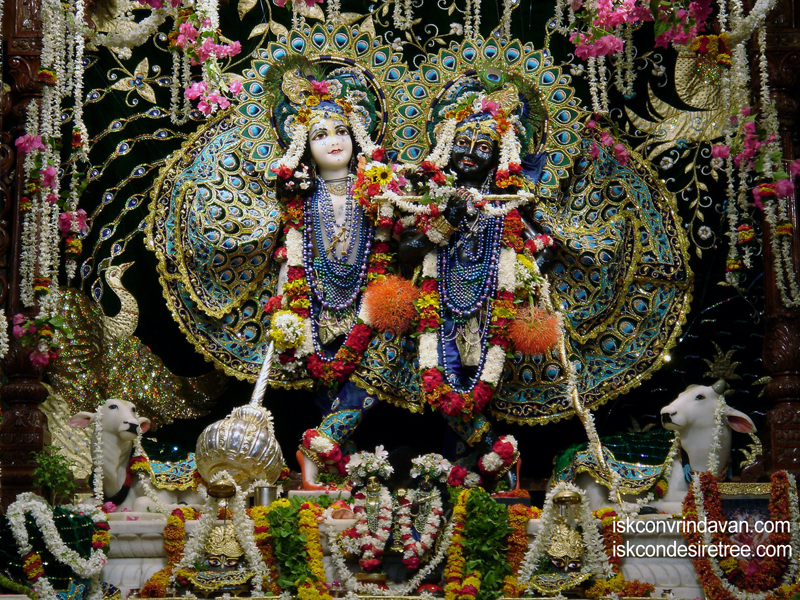 Sri Sri Krishna Balaram Wallpaper (050) Size 800x600 Download