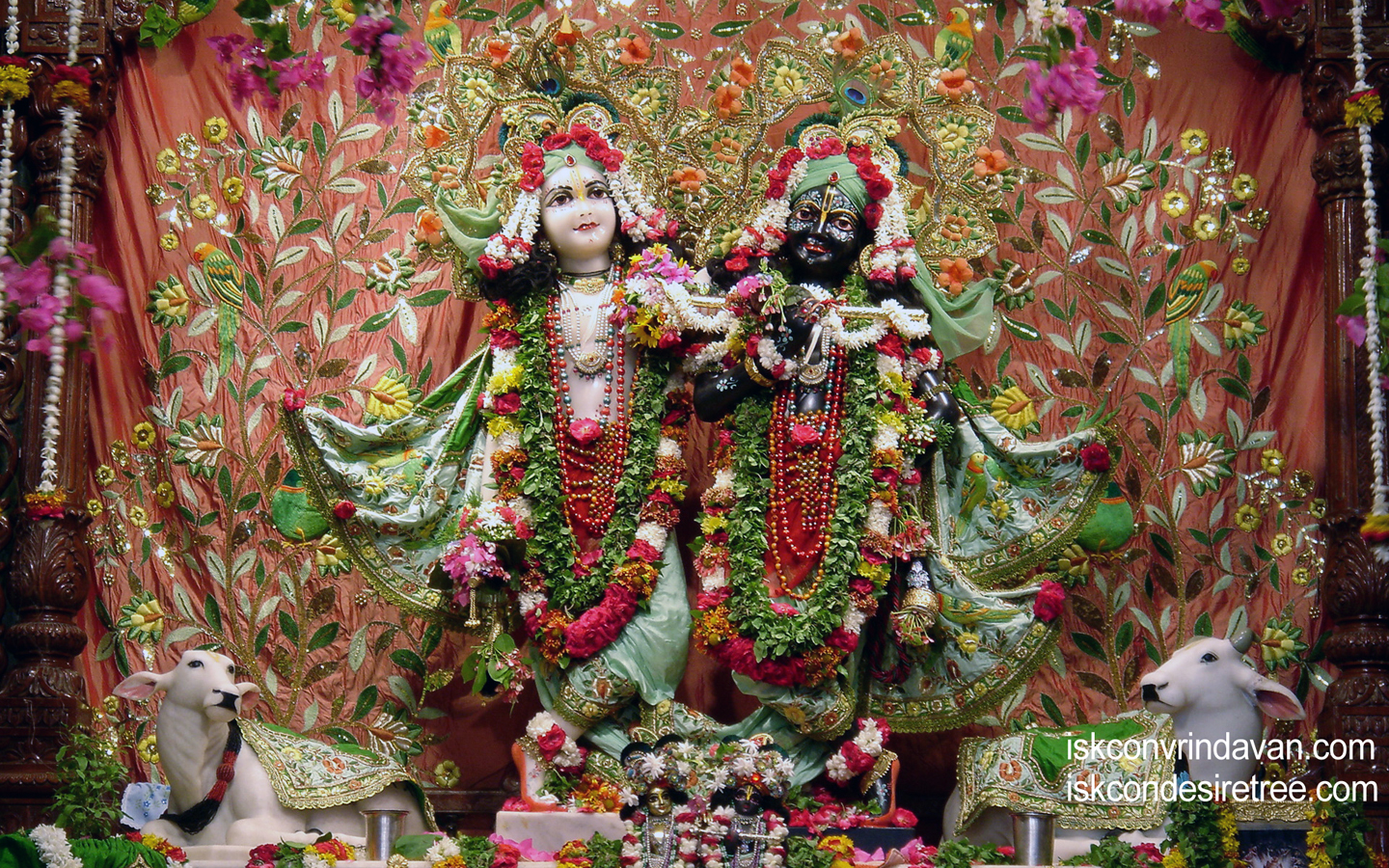 Sri Sri Krishna Balaram Wallpaper (055) Size 1440x900 Download