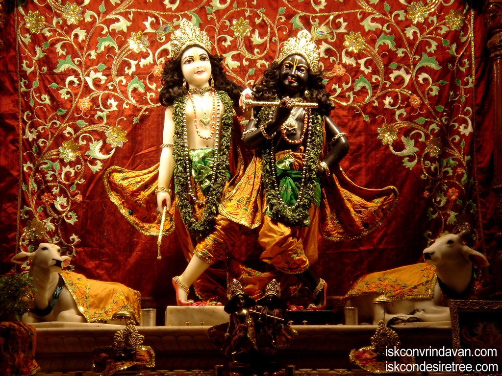 Sri Sri Krishna Balaram Wallpaper (087) Size 1024x768 Download