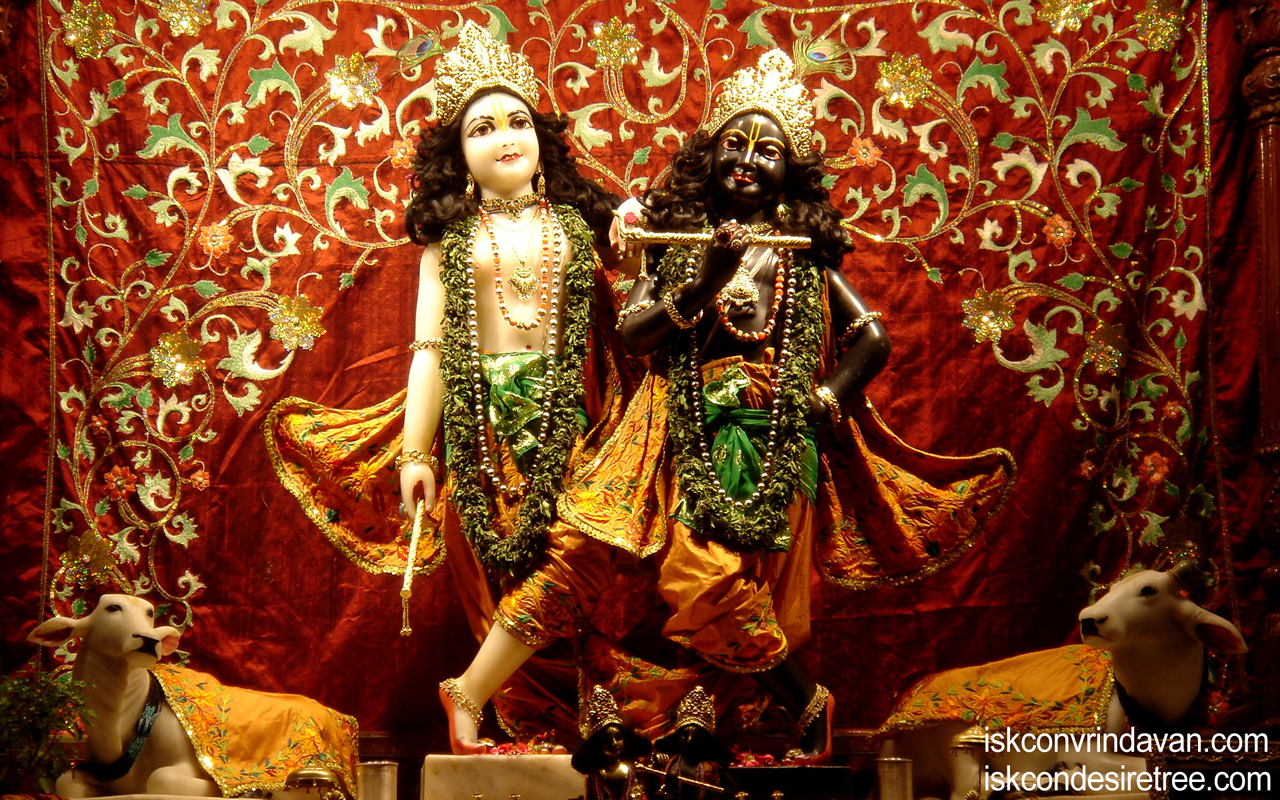 Sri Sri Krishna Balaram Wallpaper (087) Size 1280x800 Download