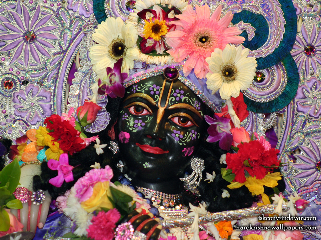 Sri Krishna Close up Wallpaper (001) Size 1024x768 Download