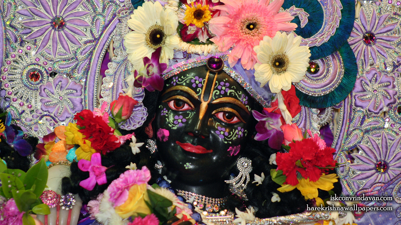 Sri Krishna Close up Wallpaper (001) Size1280x720 Download