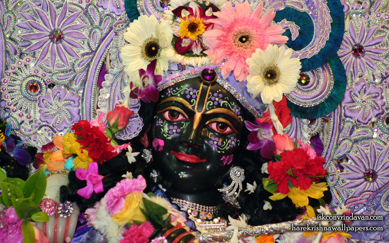 Sri Krishna Close up Wallpaper (001) Size 1280x800 Download