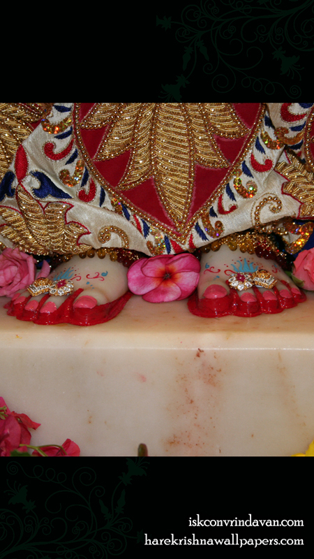 Sri Radha Feet Wallpaper (001) Size 450x800 Download