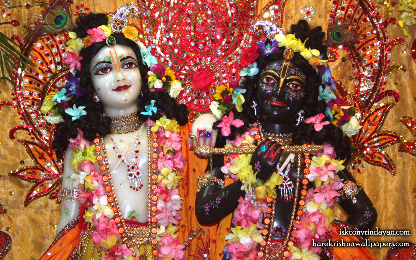 Sri Sri Krishna Balaram Close up Wallpaper (001) Size 1440x900 Download