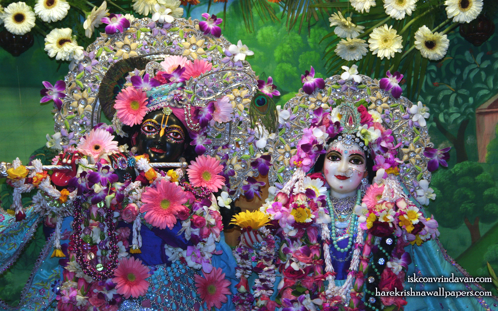 Sri Sri Radha Shyamsundar Close up Wallpaper (001) Size 1920x1200 Download