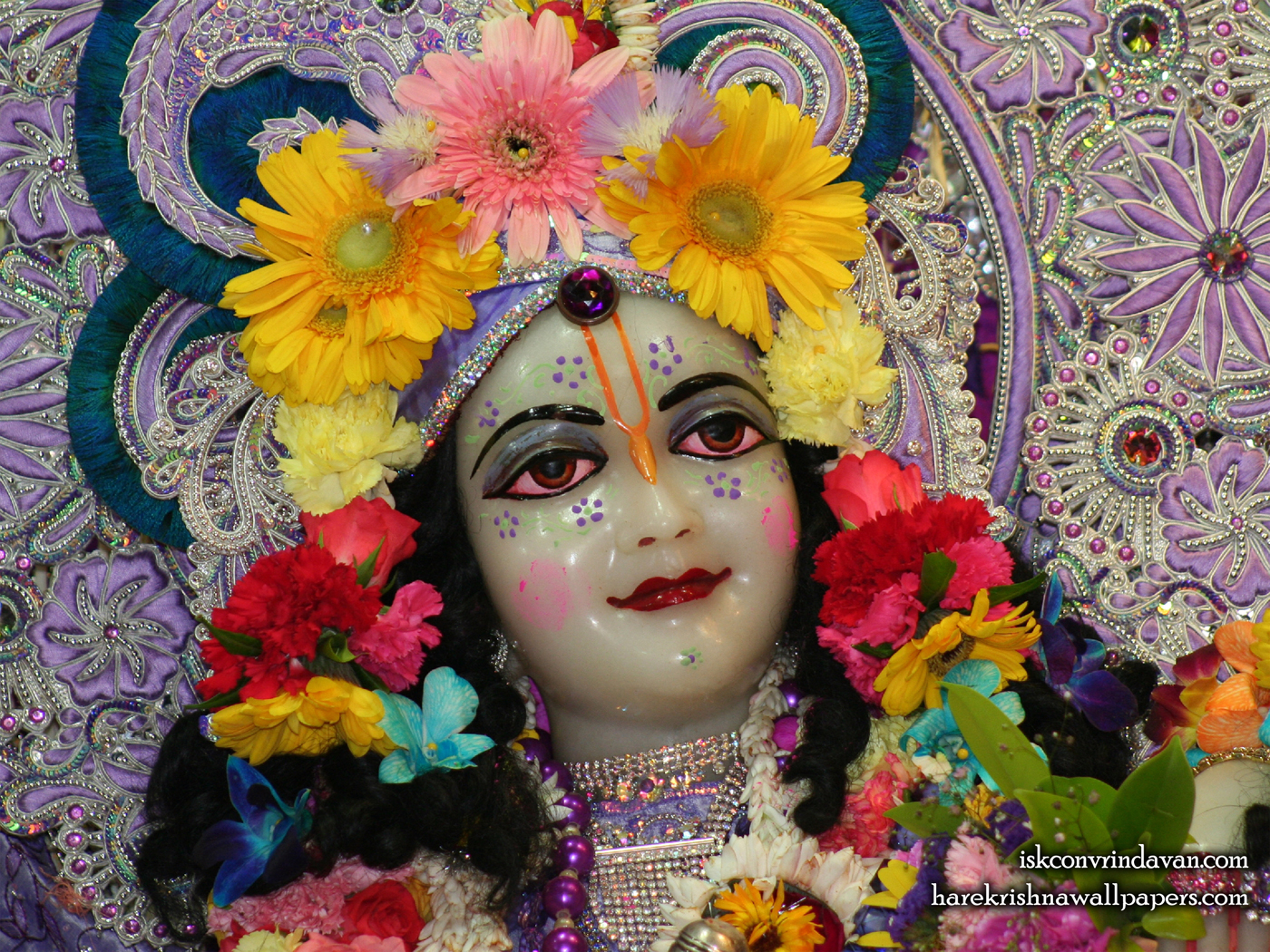 Sri Balaram Close up Wallpaper (002) Size 1400x1050 Download
