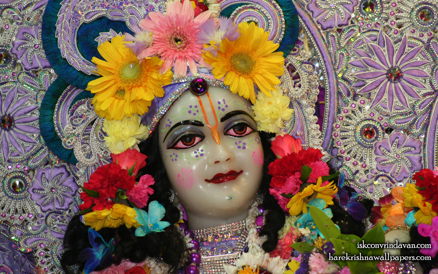 Sri Balaram Close up Wallpaper (002) Size 1440x900 Download