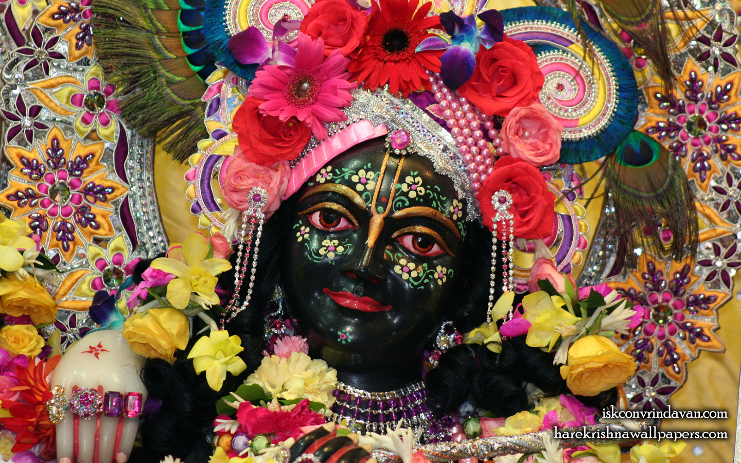 Sri Krishna Close up Wallpaper (002) Size 1440x900 Download
