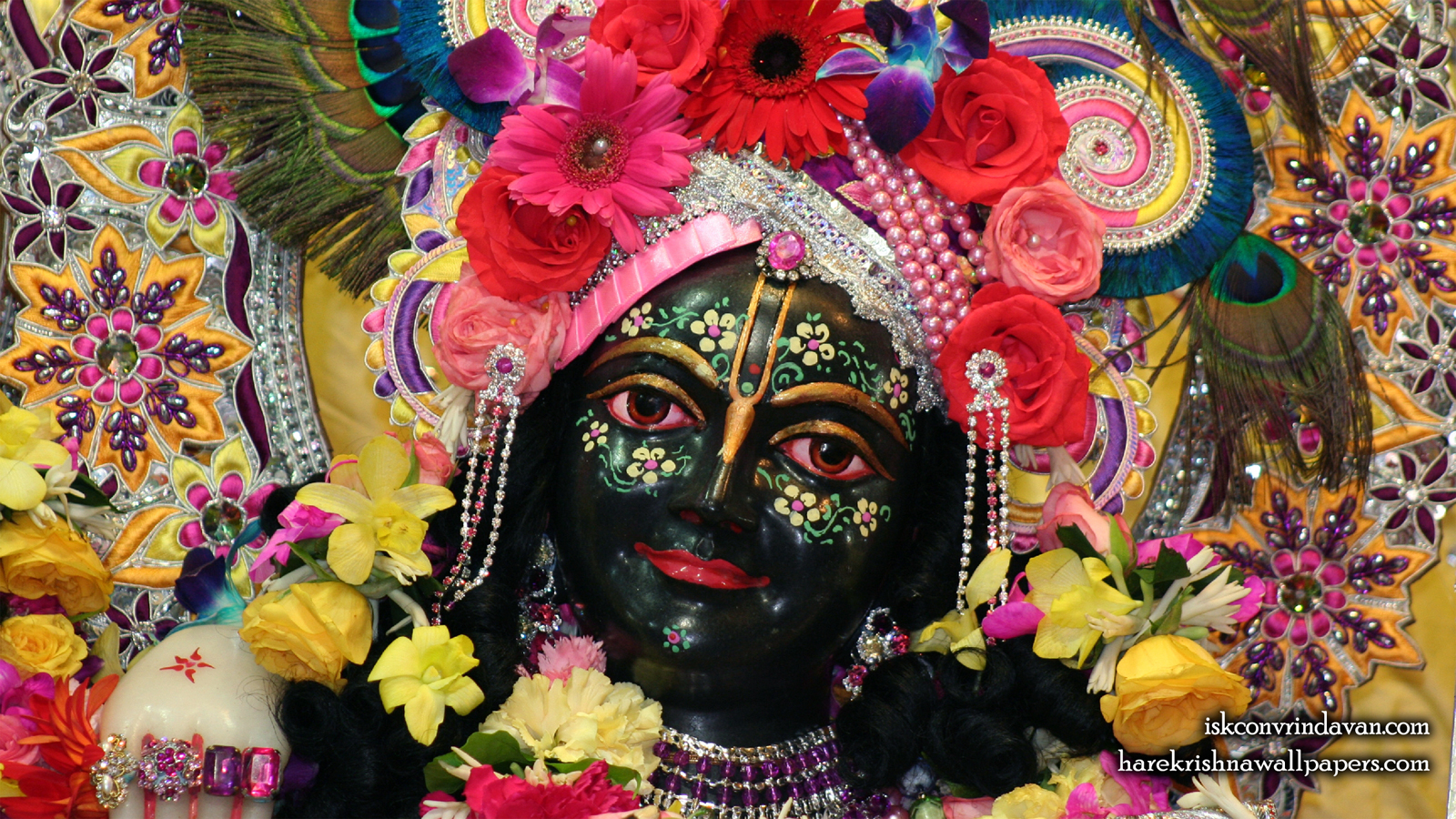 Sri Krishna Close up Wallpaper (002) Size 1600x900 Download