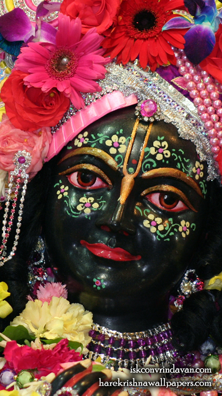 Sri Krishna Close up Wallpaper (002) Size 450x800 Download