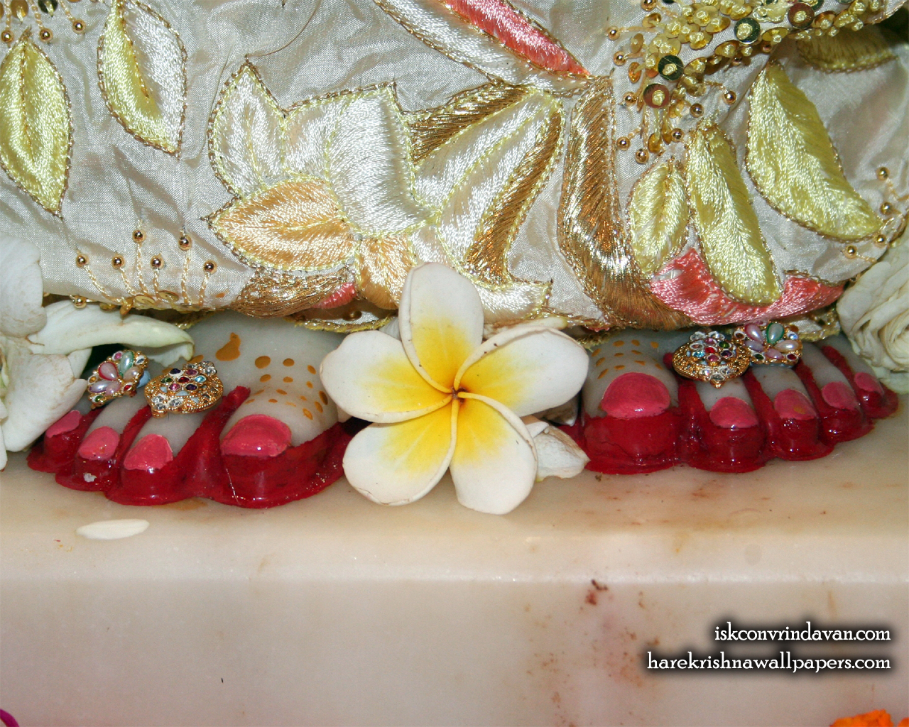 Sri Radha Feet Wallpaper (002) Size 1280x1024 Download