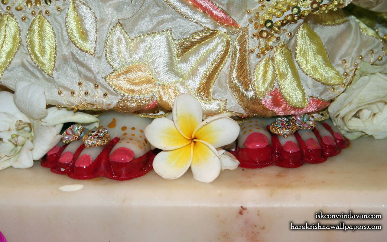 Sri Radha Feet Wallpaper (002) Size 1280x800 Download