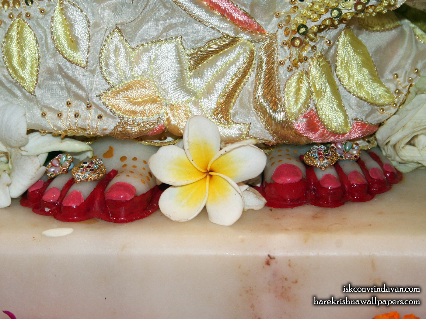 Sri Radha Feet Wallpaper (002) Size 1400x1050 Download