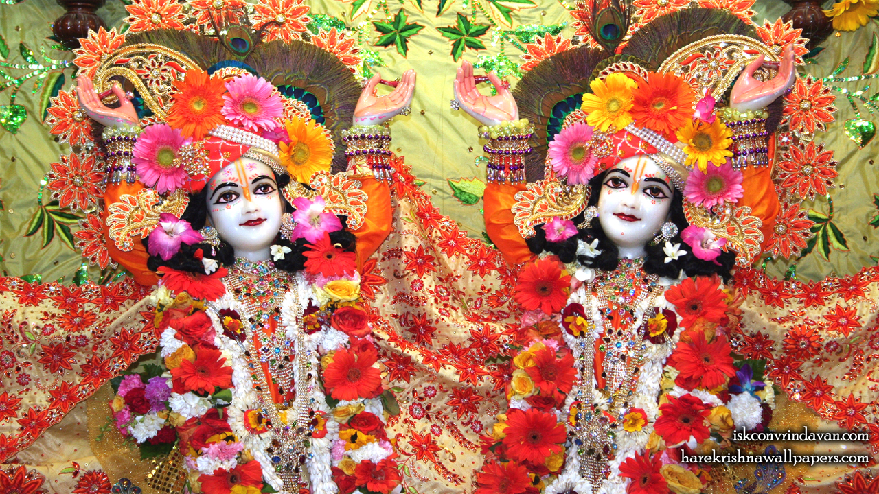 Sri Sri Gaura Nitai Close up Wallpaper (002) Size 1280x720 Download