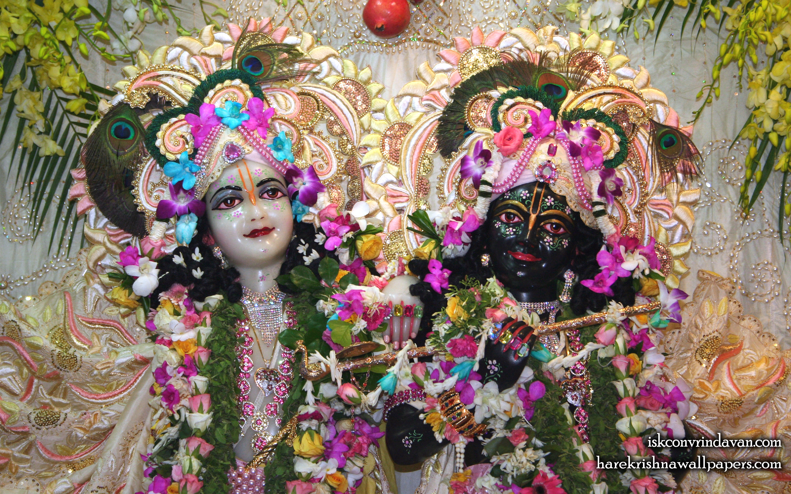 Sri Sri Krishna Balaram Close up Wallpaper (002) Size 2560x1600 Download