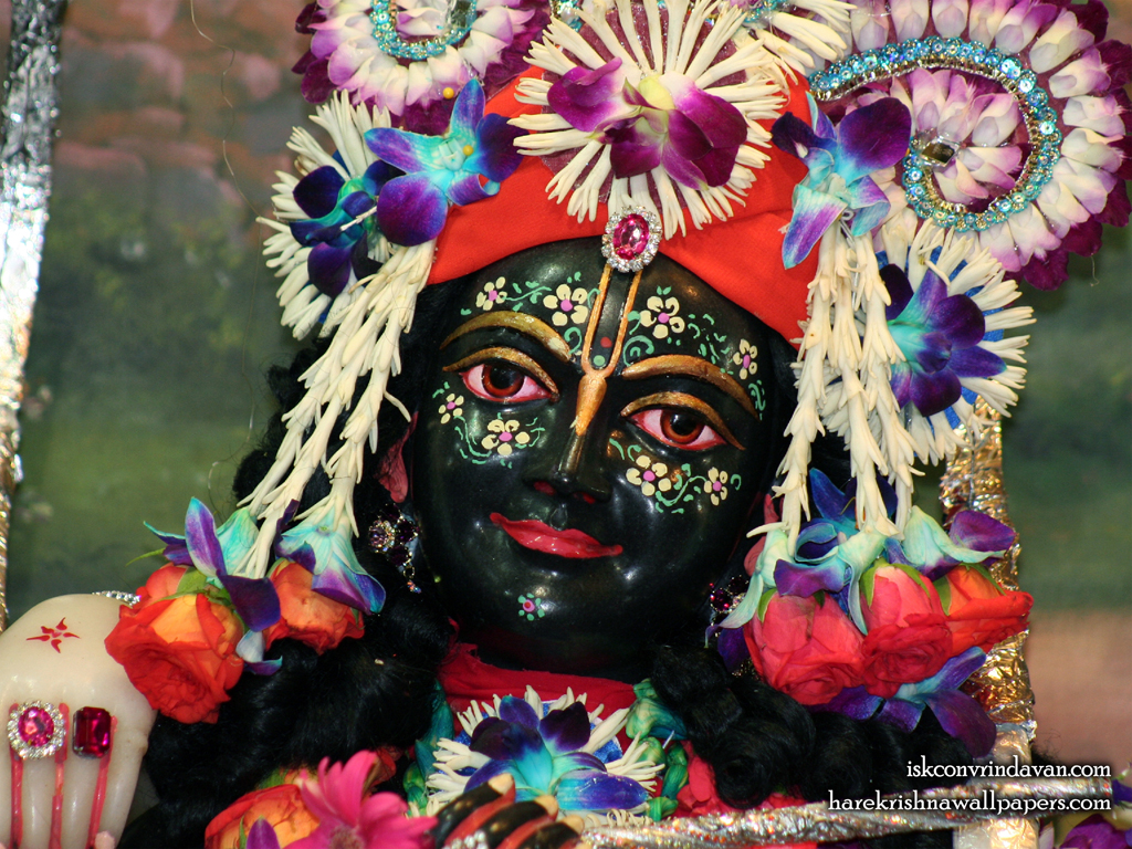 Sri Krishna Close up Wallpaper (003) Size 1024x768 Download