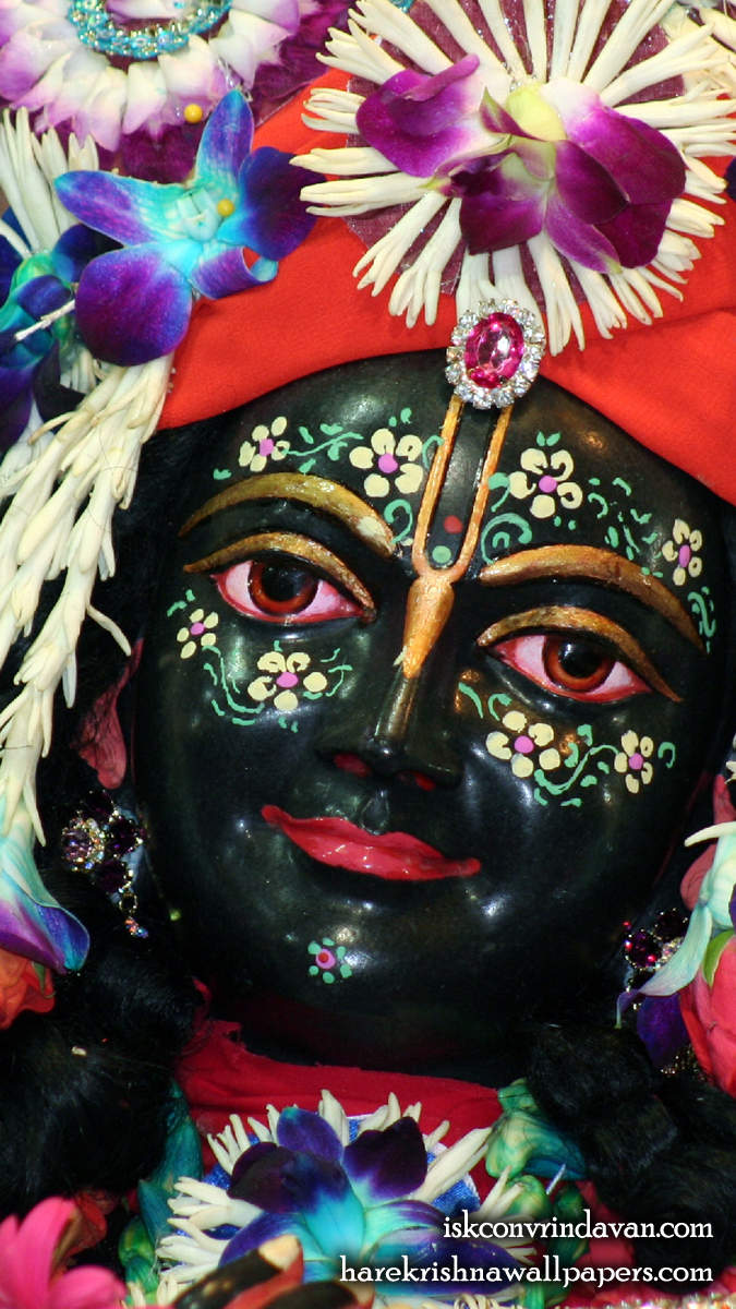 Sri Krishna Close up Wallpaper (003) Size 675x1200 Download