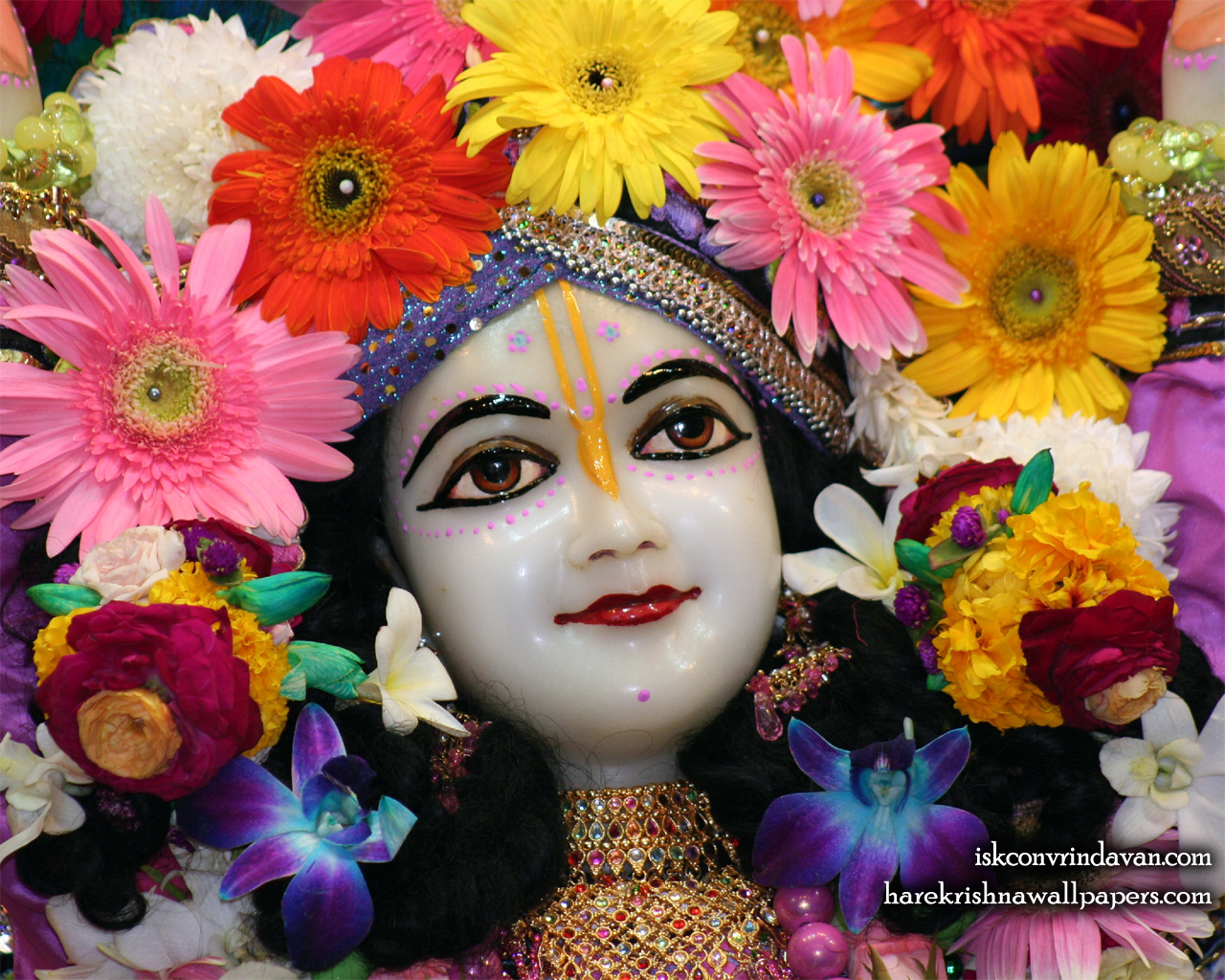 Sri Nitai Close up Wallpaper (003) Size 1280x1024 Download