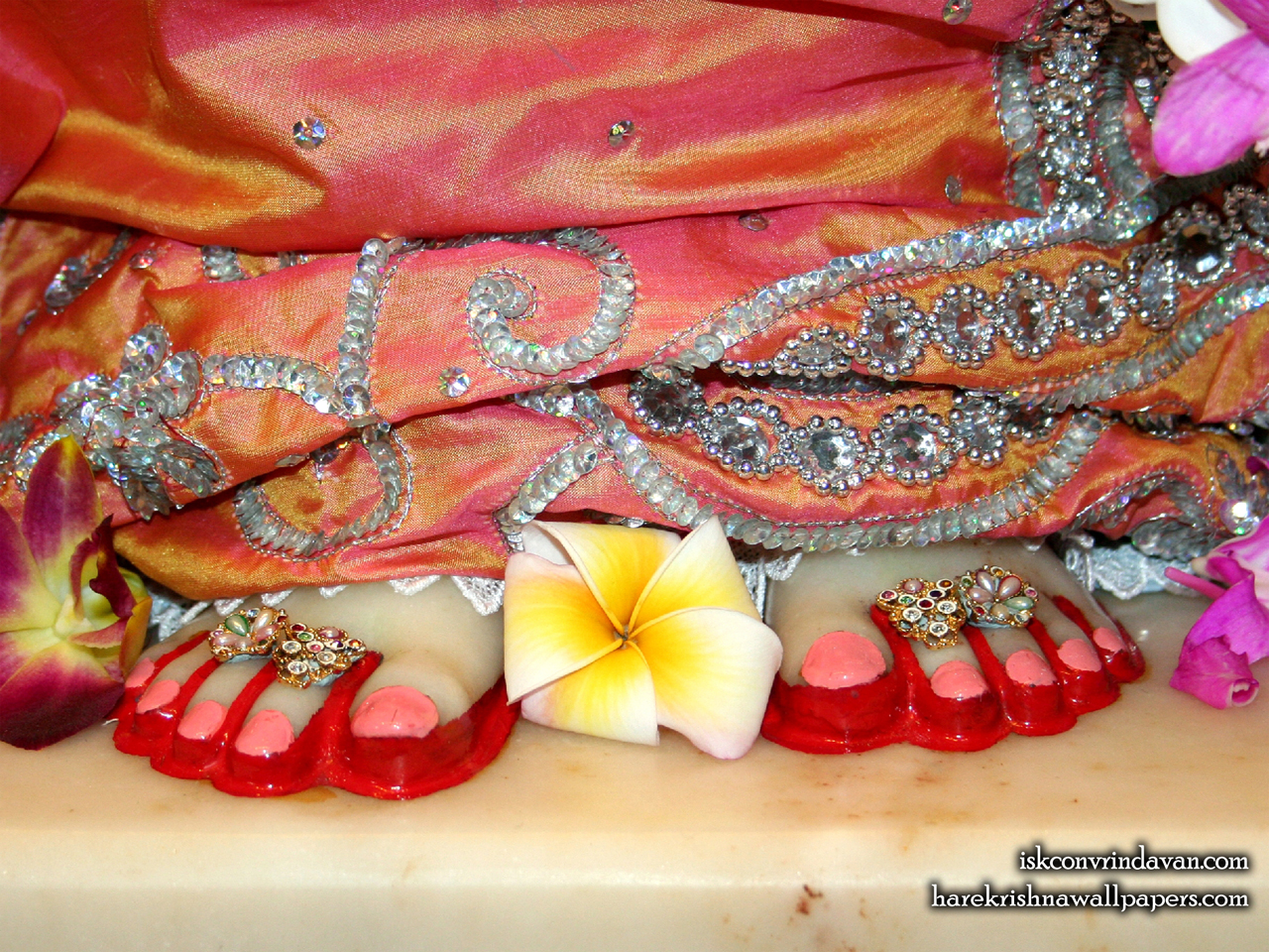 Sri Radha Feet Wallpaper (003) Size 1280x960 Download