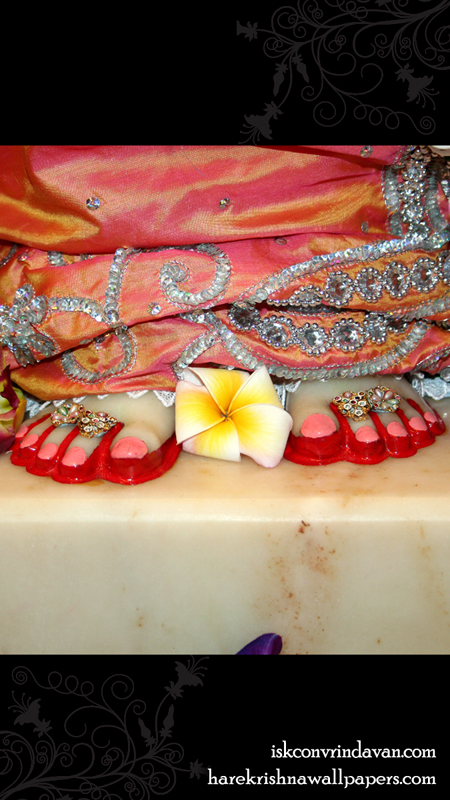 Sri Radha Feet Wallpaper (003) Size 450x800 Download