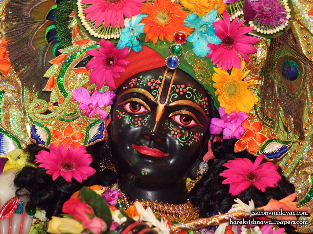 Sri Krishna Close up Wallpaper (004) Size 1024x768 Download