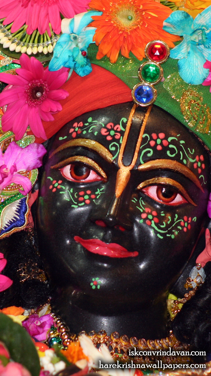Sri Krishna Close up Wallpaper (004) Size 675x1200 Download