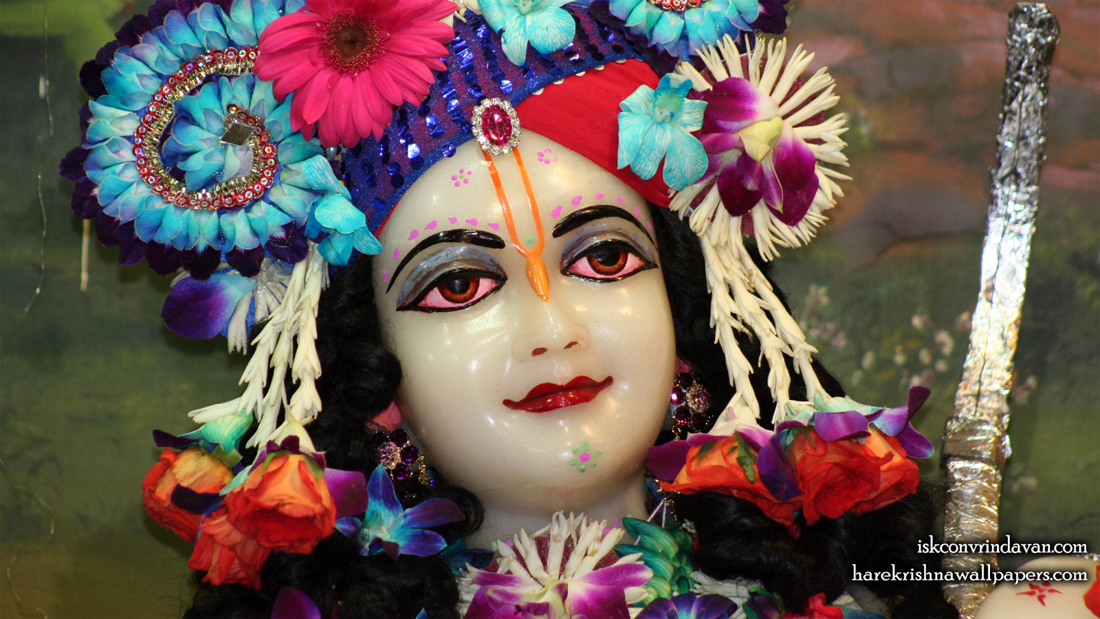 Sri Balaram Close up Wallpaper (005) Size 1600x900 Download