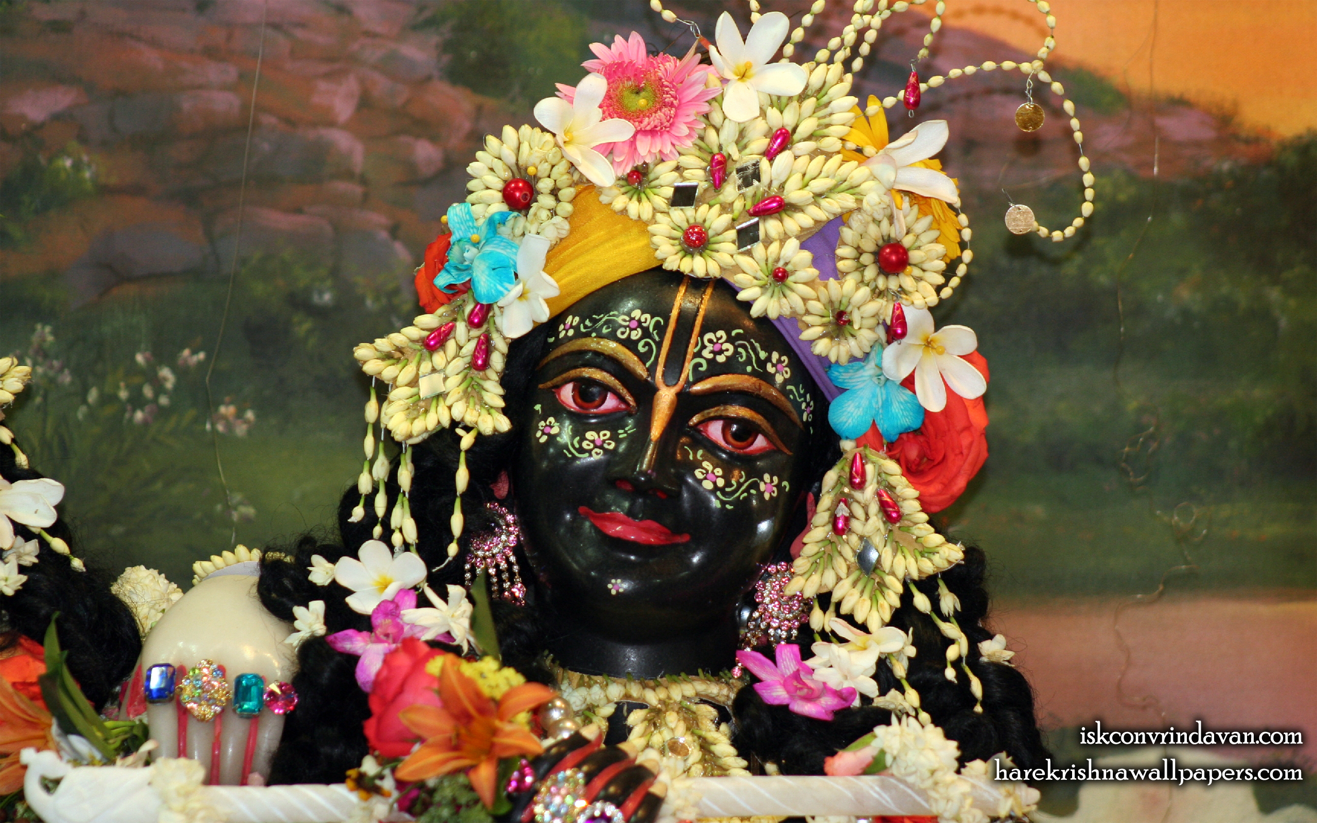 Sri Krishna Close up Wallpaper (005) Size 2560x1600 Download