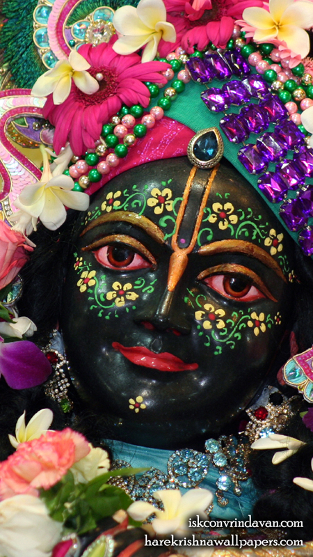 Sri Krishna Close up Wallpaper (006) Size 450x800 Download