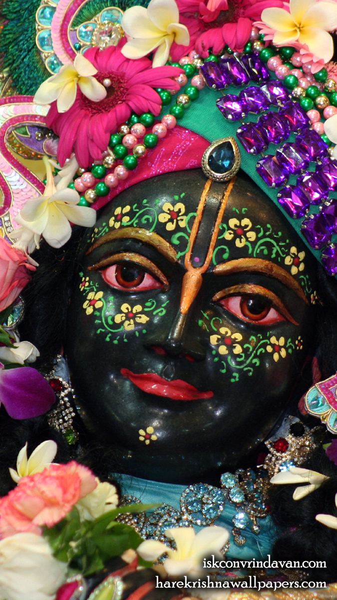 Sri Krishna Close up Wallpaper (006) Size 675x1200 Download