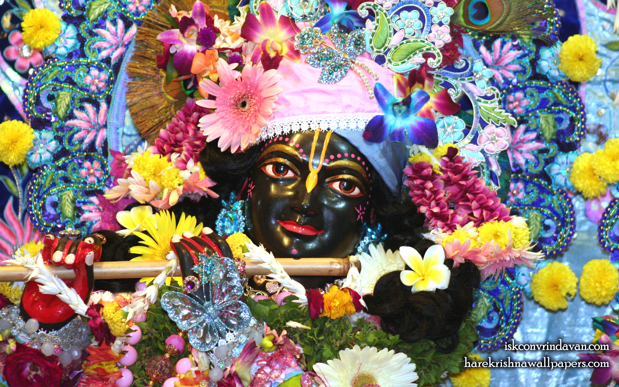 Sri Shyamsundar Close up Wallpaper (006) Size 2560x1600 Download