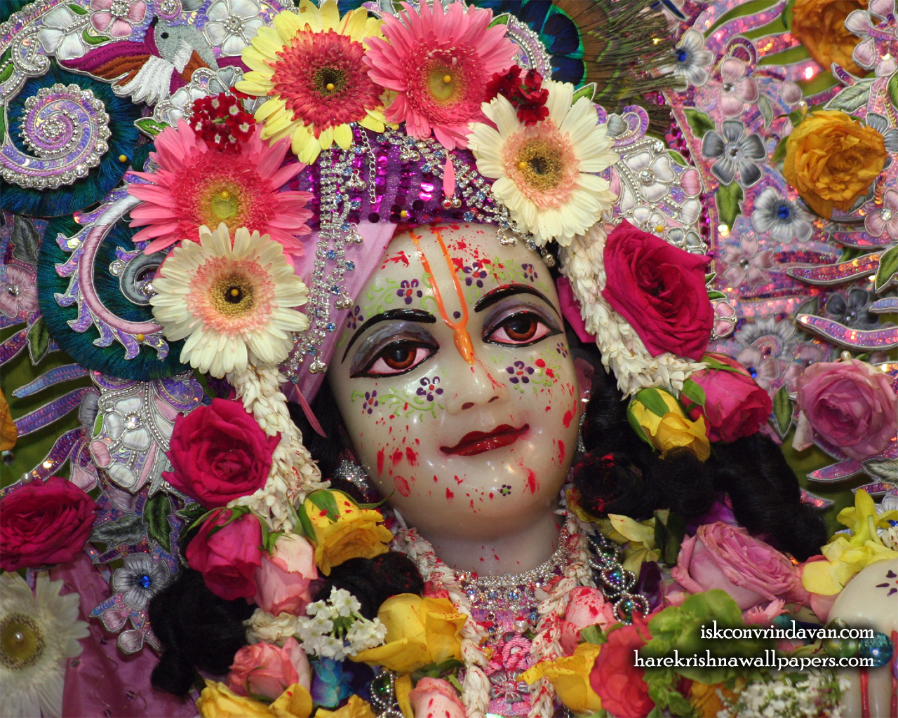 Sri Balaram Close up Wallpaper (007) Size 1280x1024 Download