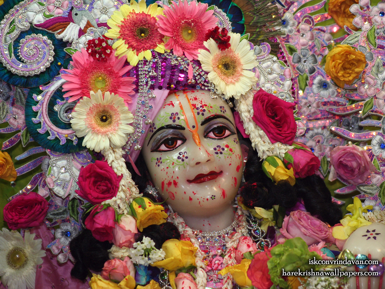 Sri Balaram Close up Wallpaper (007) Size 1280x960 Download