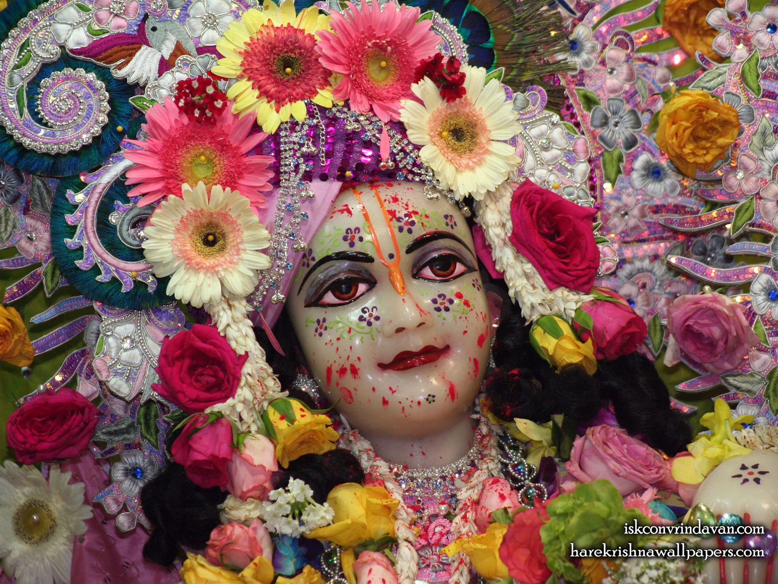 Sri Balaram Close up Wallpaper (007) Size1600x1200 Download