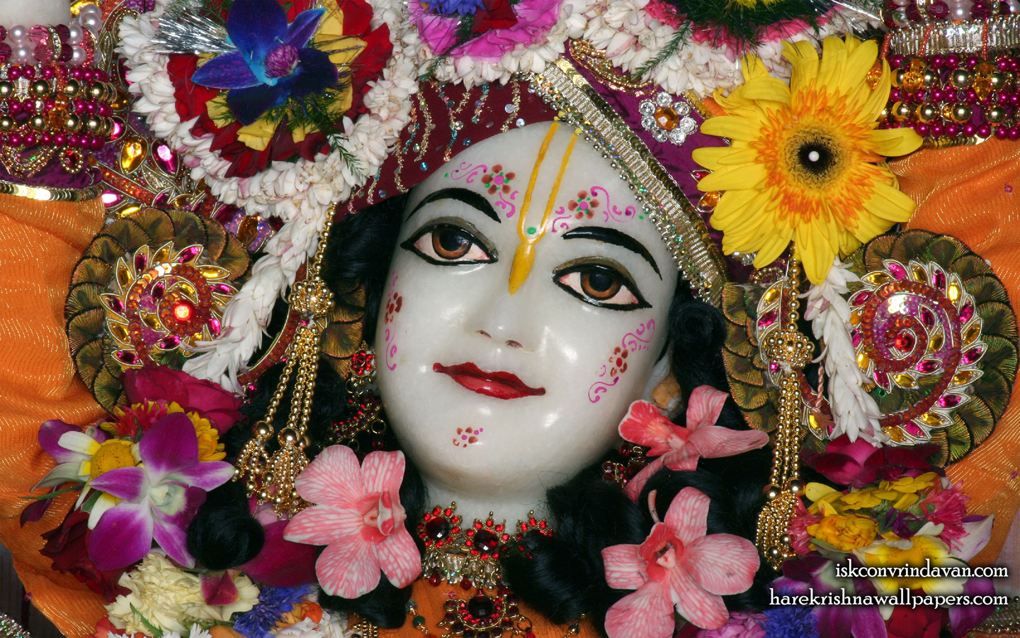 Sri Gaura Close up Wallpaper (007) Size 1440x900 Download