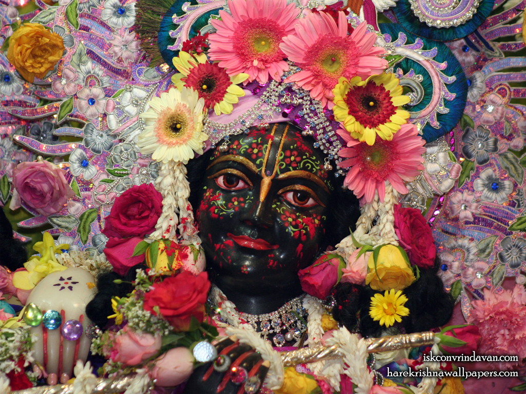 Sri Krishna Close up Wallpaper (007) Size 1024x768 Download
