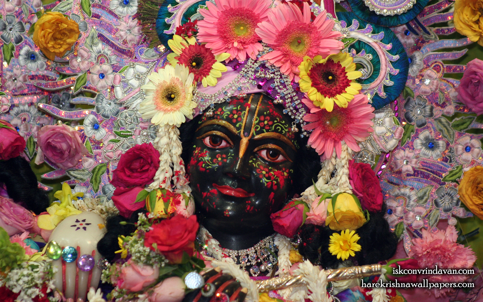 Sri Krishna Close up Wallpaper (007) Size 1680x1050 Download