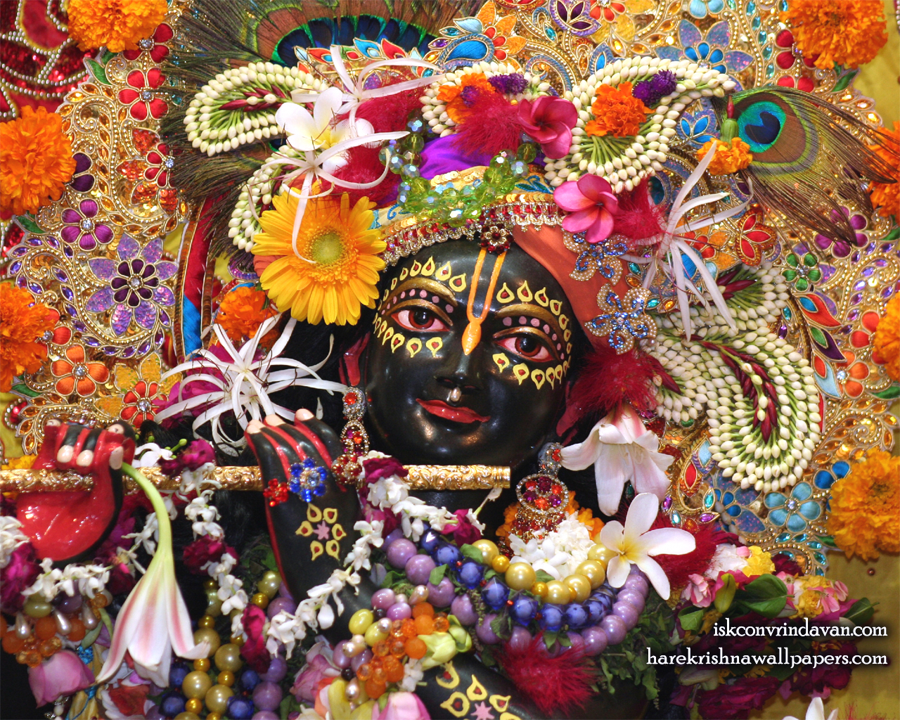 Sri Shyamsundar Close up Wallpaper (007) Size 1280x1024 Download