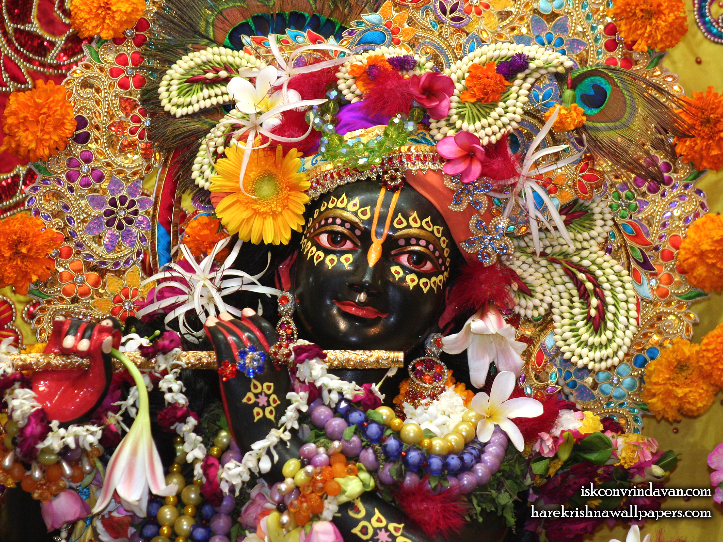 Sri Shyamsundar Close up Wallpaper (007) Size 2400x1800 Download