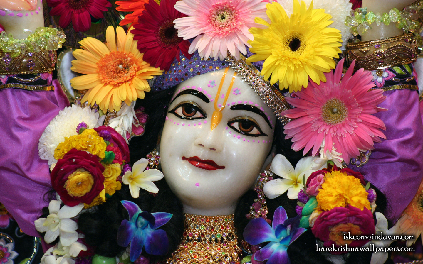 Sri Gaura Close up Wallpaper (008) Size 1440x900 Download