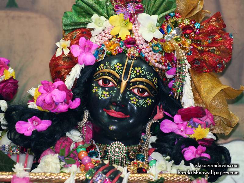 Sri Krishna Close up Wallpaper (008)